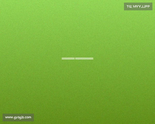 网球比赛八强激战正酣 各路高手争锋助力赛季精彩收官